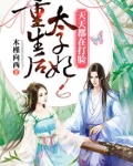 重生后太子妃天天都在打脸