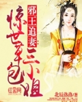 邪王追妻:惊世草包三小姐