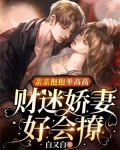 亲亲抱抱举高高：财迷娇妻好会撩