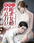 离婚后，叶总日日跪求复婚