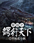 穿越之鳄行天下