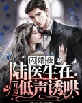 闪婚夜,陆医生在耳边低声诱哄