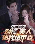 开局停职：别慌，美人抬我进市委