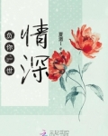 负你一世情深