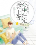 缘来深情：命中注定恋上你