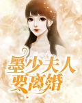 墨少夫人要离婚