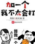 加一个，我不太会打