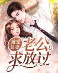 盛宠娇妻：老公求放过