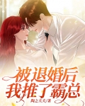 被退婚后,我推了霸总