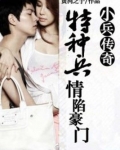 特种兵情陷豪门女：小兵传奇