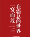 在霸总的世界一穿而过