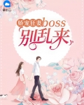 娇宠狂妻:boss别乱来