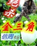 绝杀金三角
