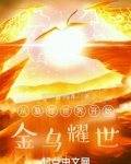 从墓综世界开始:金乌耀世
