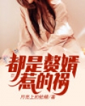 都是赘婿惹的祸
