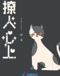 撩人心上
