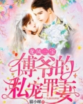 龙凤三宝：傅爷的私宠罪妻
