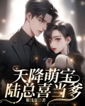  天降萌宝，陆总喜当爹