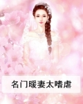 名门暖妻太嗜虐