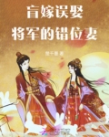 盲嫁误娶，将军的错位妻
