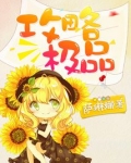 攻略极品