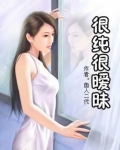 很纯很暧昧前传