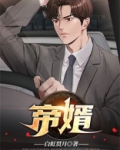 帝婿