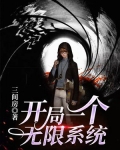 开局一个无限系统