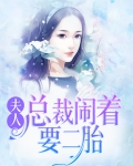 夫人，总裁闹着要二胎
