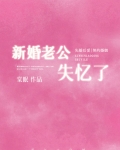新婚老公失忆了