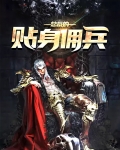 总裁的贴身佣兵