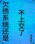 欠债系统还是不上交了