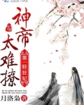 神帝的第一轻狂妃