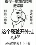 这个大神开外挂