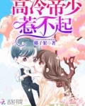 高冷帝少，惹不起