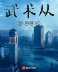 武术从港岛开始