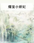 爆宠小娇妃
