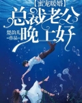 蜜宠暖婚：总裁老公晚上好