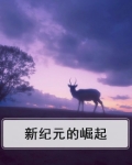 新纪元的崛起