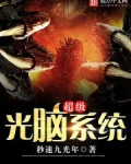 超级光脑系统