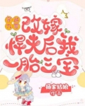 穿越九零，改嫁悍夫后我一胎三宝