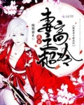 我家妻主超高冷