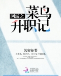 网游之菜鸟升职记