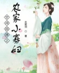 空间田缘之农家小寡妇