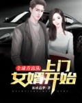 逍遥小医婿
