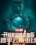 盗墓:开局奖励真龙血脉,踏平云南虫谷