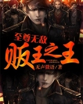 至尊无敌贩王之王