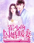 霍少的闪婚暖妻