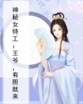 神秘女特工：王爷，有胆就来