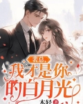 裴总,我才是你的白月光